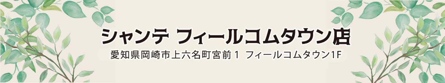 シャンテ フィールコムタウン店