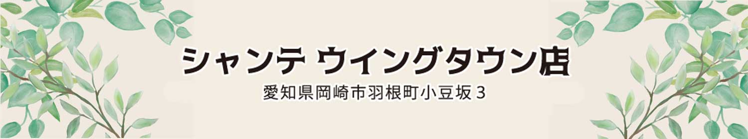 シャンテ ウイングタウン店
